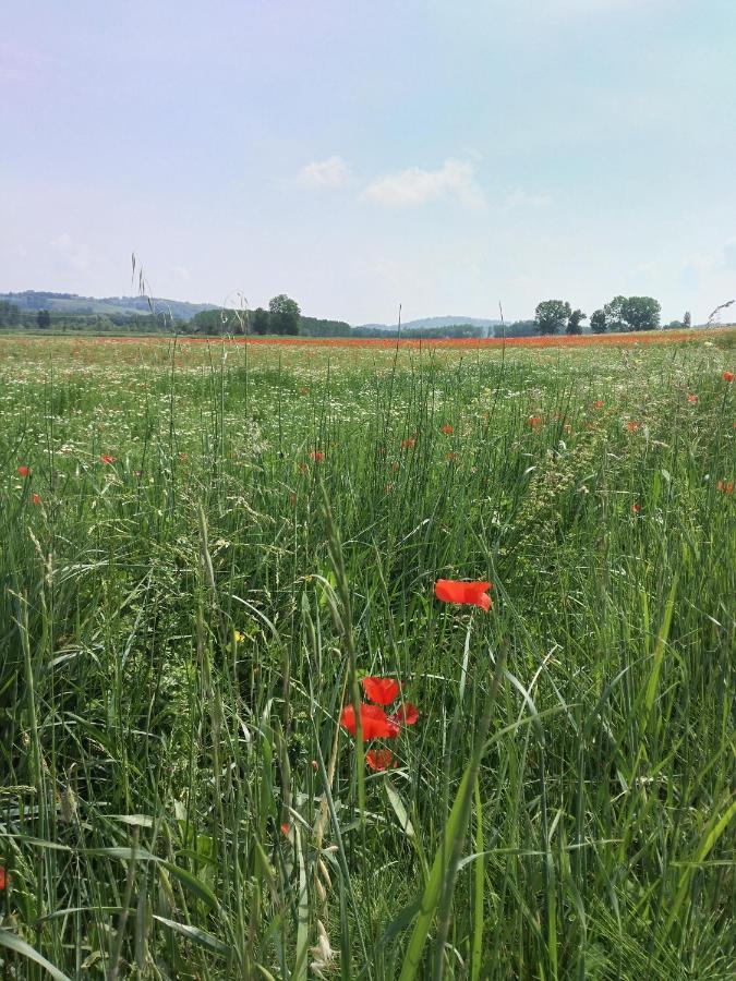 Bio Agriturismo Pratini Monte Lopio Exteriér fotografie